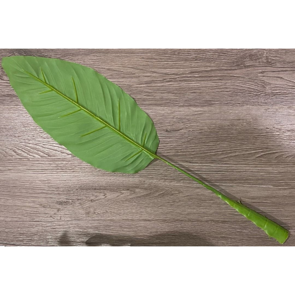 人造植物葉(一組 9片) 觀賞性人造植物 仿植物: Aspidistra 長58.5cm 寬14.5cm 全新品-細節圖2