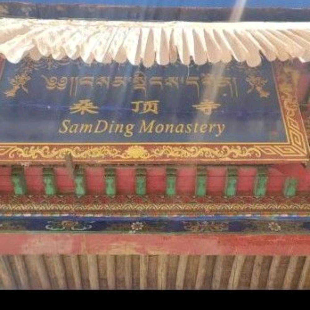 桑顶寺 多杰帕母 金剛亥母 大红甘露丸 金刚亥母傳承,1標1大顆，裝藏佛像舍利塔嘎烏盒-細節圖2