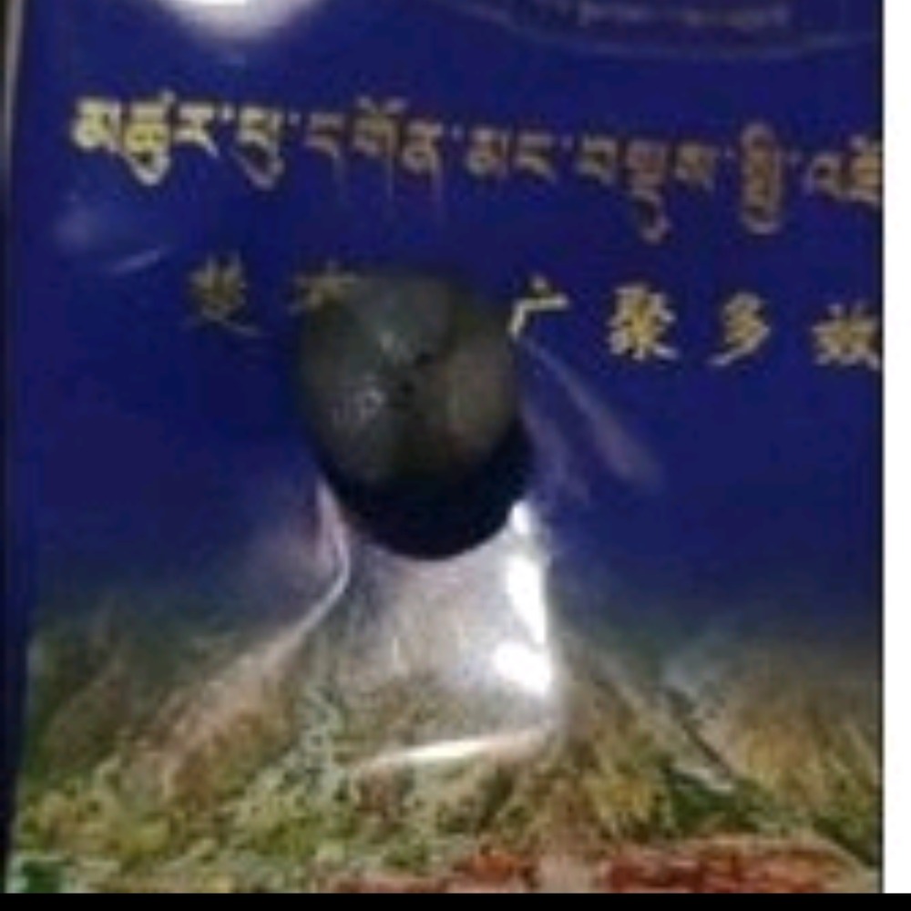 楚布寺製作廣聚多效黑寶丸 一個內含釋迦牟尼佛舍利譯師瑪爾巴尊者的法身塔波仁波切舍利楚布寺的黑寶丸大寶法王的衣物國師嘉察衣-細節圖3