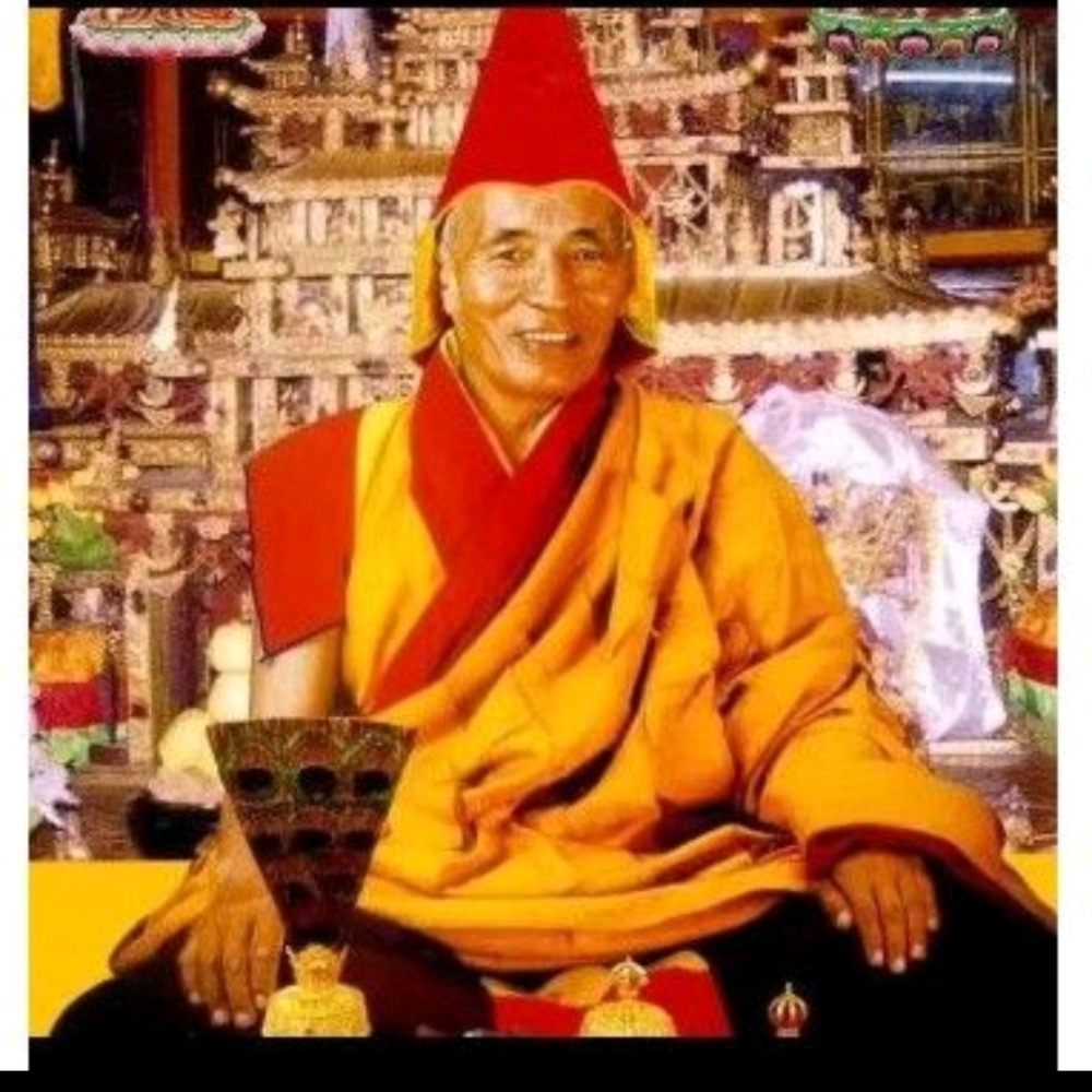 每標1顆 約12mm 藏哇寺 云登桑布法王肉身殿藥師佛甘露丸 裝藏舍利塔 嘎烏舍利塔装藏供舍利塔嘎烏盒裝藏甘露丸-細節圖2