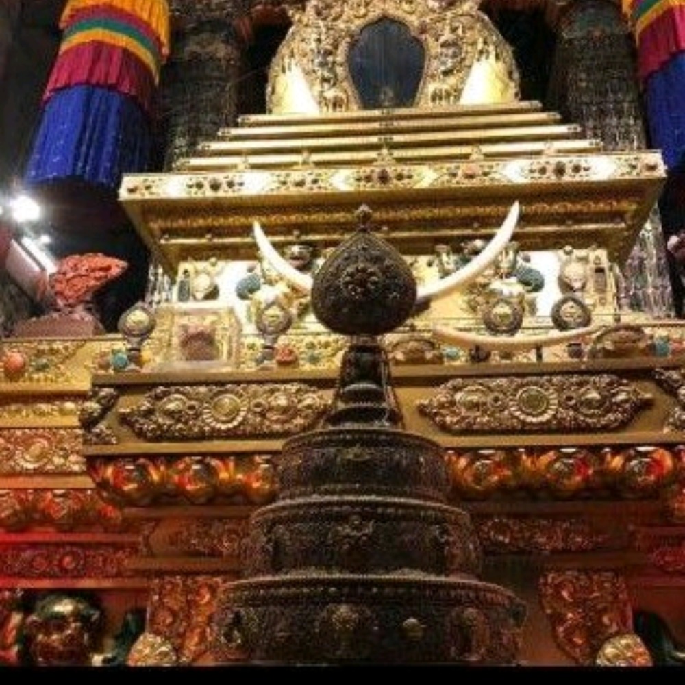 每標1顆 約12mm 藏哇寺 云登桑布法王肉身殿藥師佛甘露丸 裝藏舍利塔 嘎烏舍利塔装藏供舍利塔嘎烏盒裝藏甘露丸-細節圖3