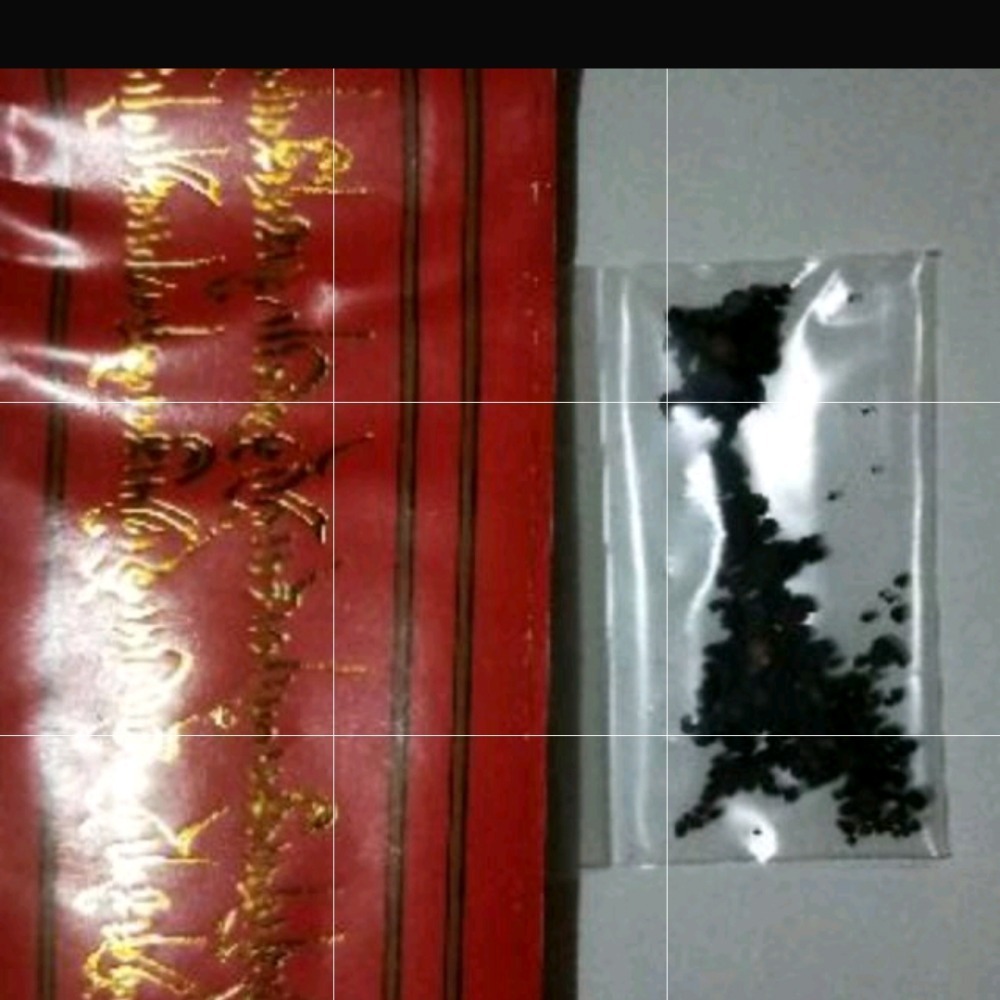 敏珠林寺八大法行解脫甘露丸~寧瑪派古寺~~放生儀軌~安神定心~避邪化礙 甘露法藥 (一袋數百顆)每標1包-細節圖2