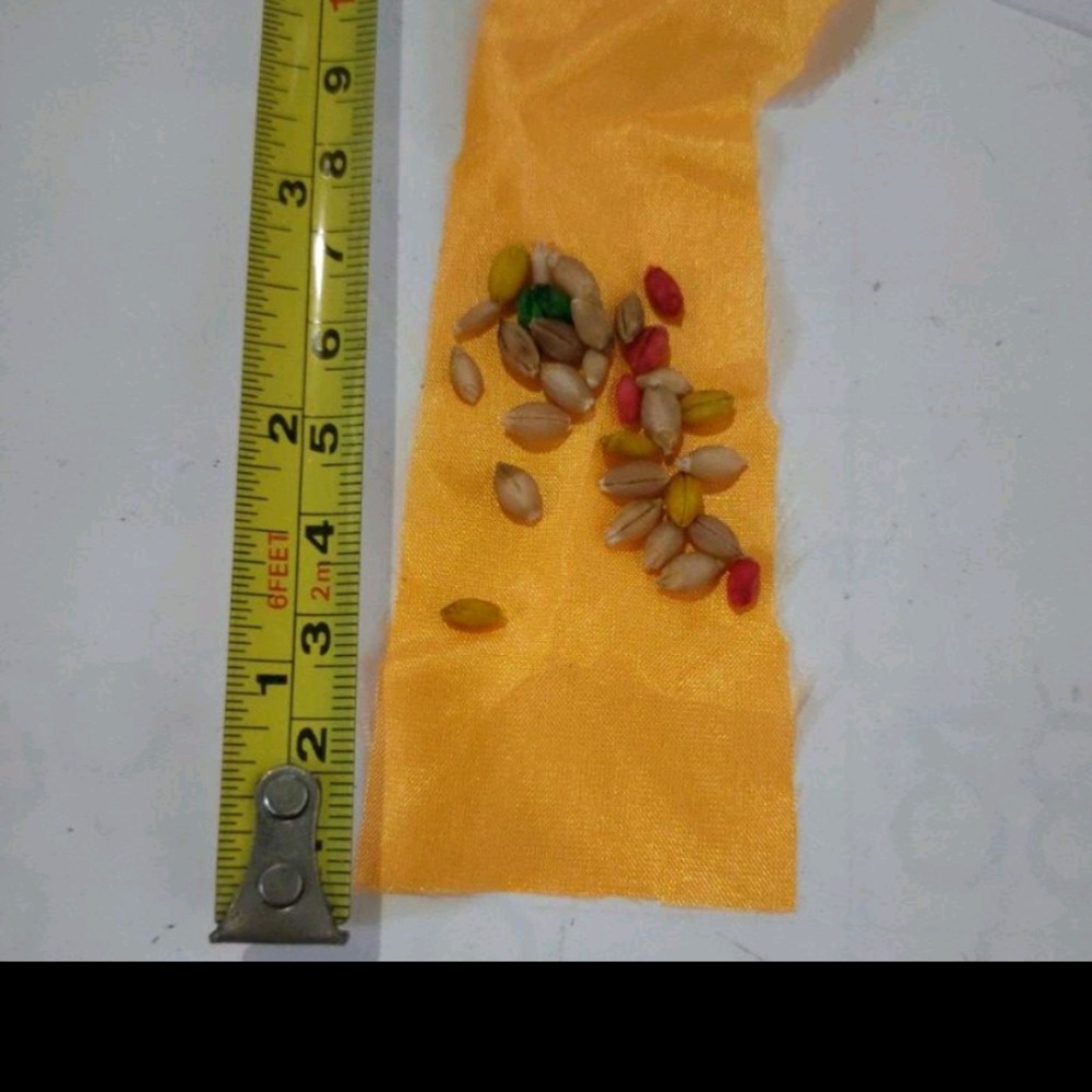 西藏 大昭寺佛衣角及法米 大昭寺贴金结缘佛衣片-細節圖2