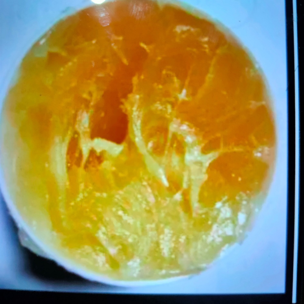 日本製三洋國際牌原廠專用洗衣機阻尼油膏100g-細節圖2