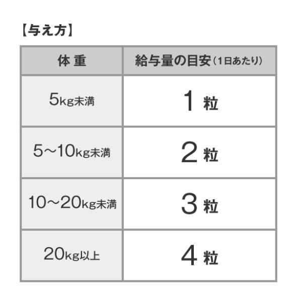 《現貨》小紅豆日貨 正品 DHC 犬用 狗用 葉黃素 藍莓精華 花青素 premium 60粒 眼睛保健-細節圖4