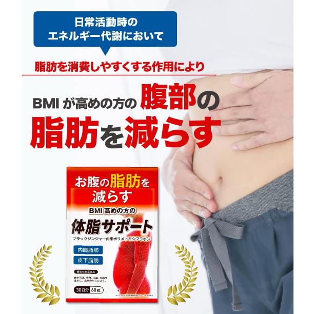 《現貨》小紅豆日貨 DUEN 腹部脂肪 內臟脂肪 皮下脂肪 黑生薑 30日-細節圖3