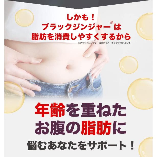 《現貨》小紅豆日貨 DUEN 腹部脂肪 內臟脂肪 皮下脂肪 黑生薑 30日-細節圖4