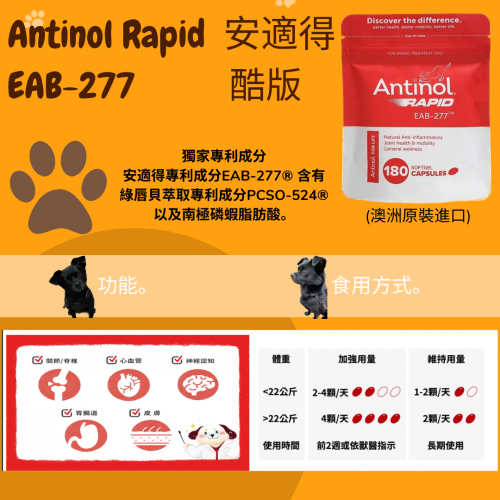 安適得 Antinol Rapid EAB-277 180顆 關節保健 澳洲原裝 狗貓皆可