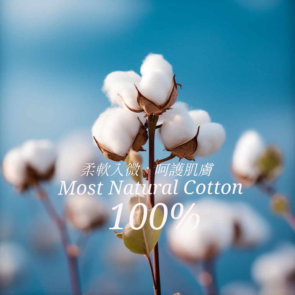 台灣TAIWAN自創品牌潮流T恤-圓領短袖T(轉印)-pip-pep-爆走火車頭-細節圖6