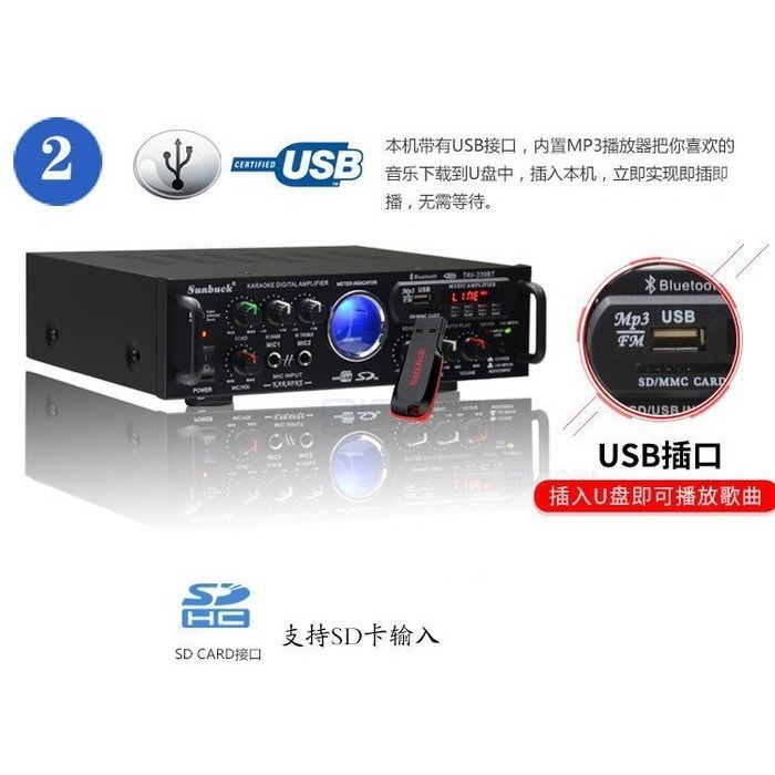 Sunbuck TAV-339BT美規藍牙大功率音箱功放器110V12V車載藍芽卡拉OK功放機家用聲音放大器商用擴大器-細節圖3
