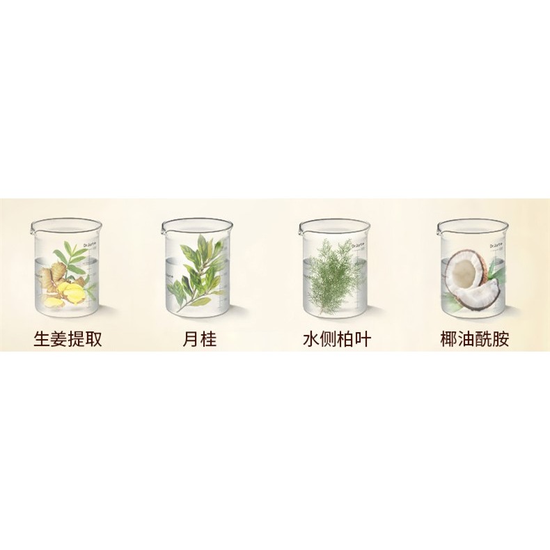 老薑王洗髮精500ml草本植物洗髮精生薑汁無硅膠洗髮精老姜王洗髮露洗髮液老薑洗髮精-細節圖8