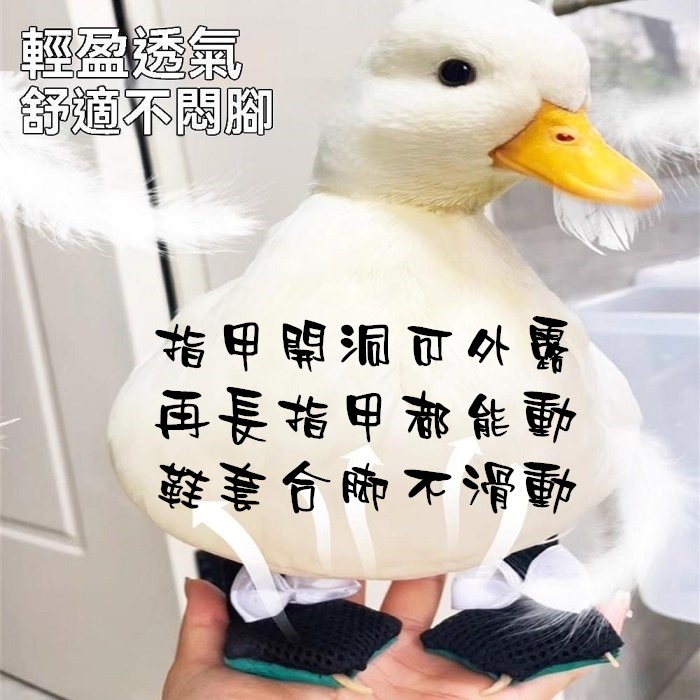 柯爾鴨鞋小鴨鞋子靴寵物服飾防滑寵物鞋網紅寵物鞋膠套保護腳掌寵物鴨鞋子柯爾鴨腳套寵物鴨鞋套 小鴨鞋套-細節圖2