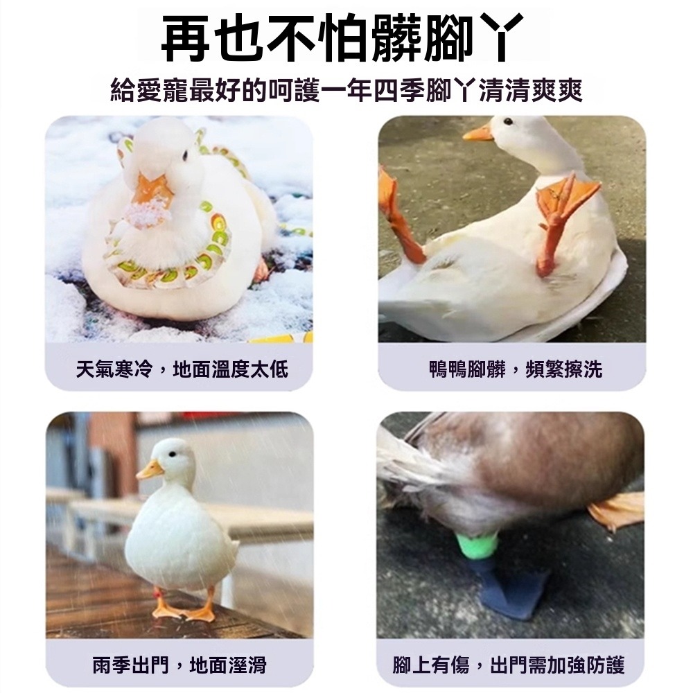 柯爾鴨鞋小鴨鞋子靴寵物服飾防滑寵物鞋網紅寵物鞋膠套保護腳掌寵物鴨鞋子柯爾鴨腳套寵物鴨鞋套 小鴨鞋套-細節圖6
