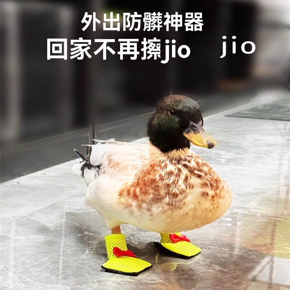 柯爾鴨鞋小鴨鞋子靴寵物服飾防滑寵物鞋網紅寵物鞋膠套保護腳掌寵物鴨鞋子柯爾鴨腳套寵物鴨鞋套 小鴨鞋套-細節圖7
