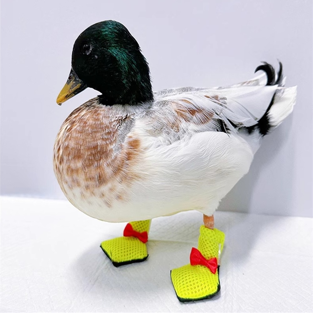 柯爾鴨鞋小鴨鞋子靴寵物服飾防滑寵物鞋網紅寵物鞋膠套保護腳掌寵物鴨鞋子柯爾鴨腳套寵物鴨鞋套 小鴨鞋套-細節圖8