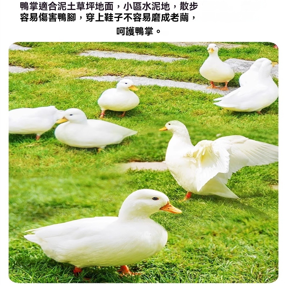 柯爾鴨鞋小鴨鞋子靴寵物服飾防滑寵物鞋網紅寵物鞋膠套保護腳掌寵物鴨鞋子柯爾鴨腳套寵物鴨鞋套 小鴨鞋套-細節圖9