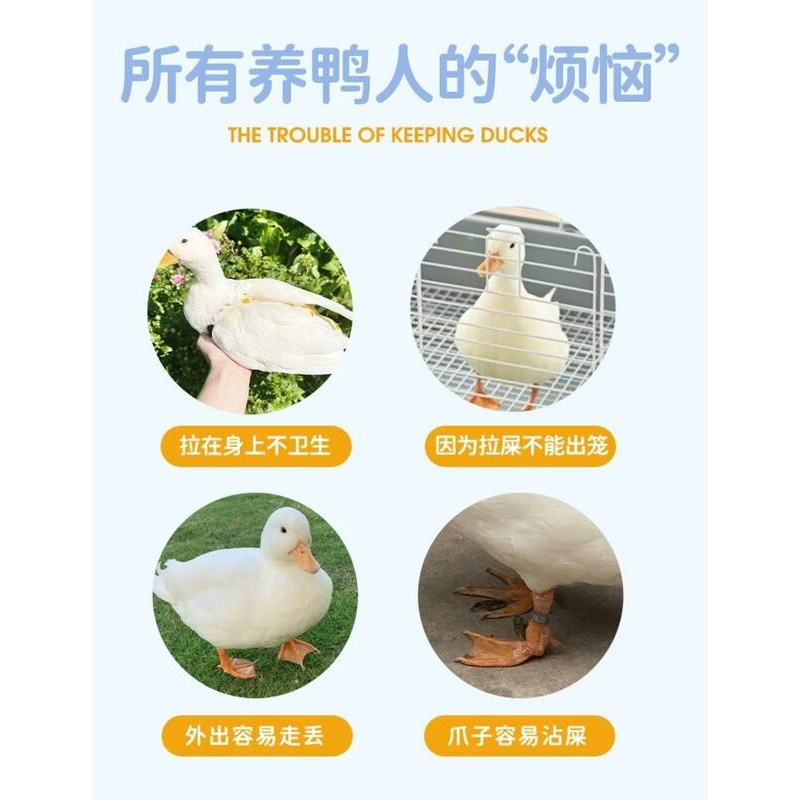 柯爾鴨尿布寵物屎兜 背有扣環可勾牽繩柯爾鴨尿不濕柯爾鴨衣服尿布網紅鴨尿不濕雞鵝尿片柯爾鴨屎兜可換洗尿布柯爾鴨寵物尿布墊-細節圖3