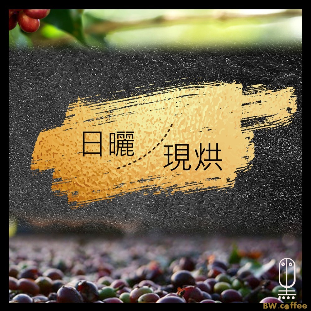 《黑開水》貝貝卡藝伎咖啡豆1磅(450克)(日曬式)(淺)-細節圖4