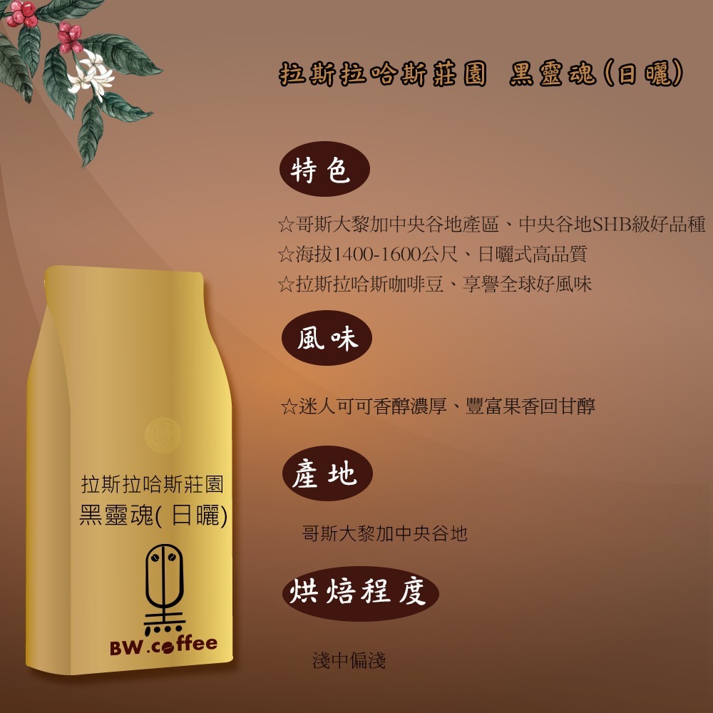 《黑開水》哥斯大黎加拉斯拉哈斯莊園黑靈魂1磅(450克)(日曬式)-細節圖4