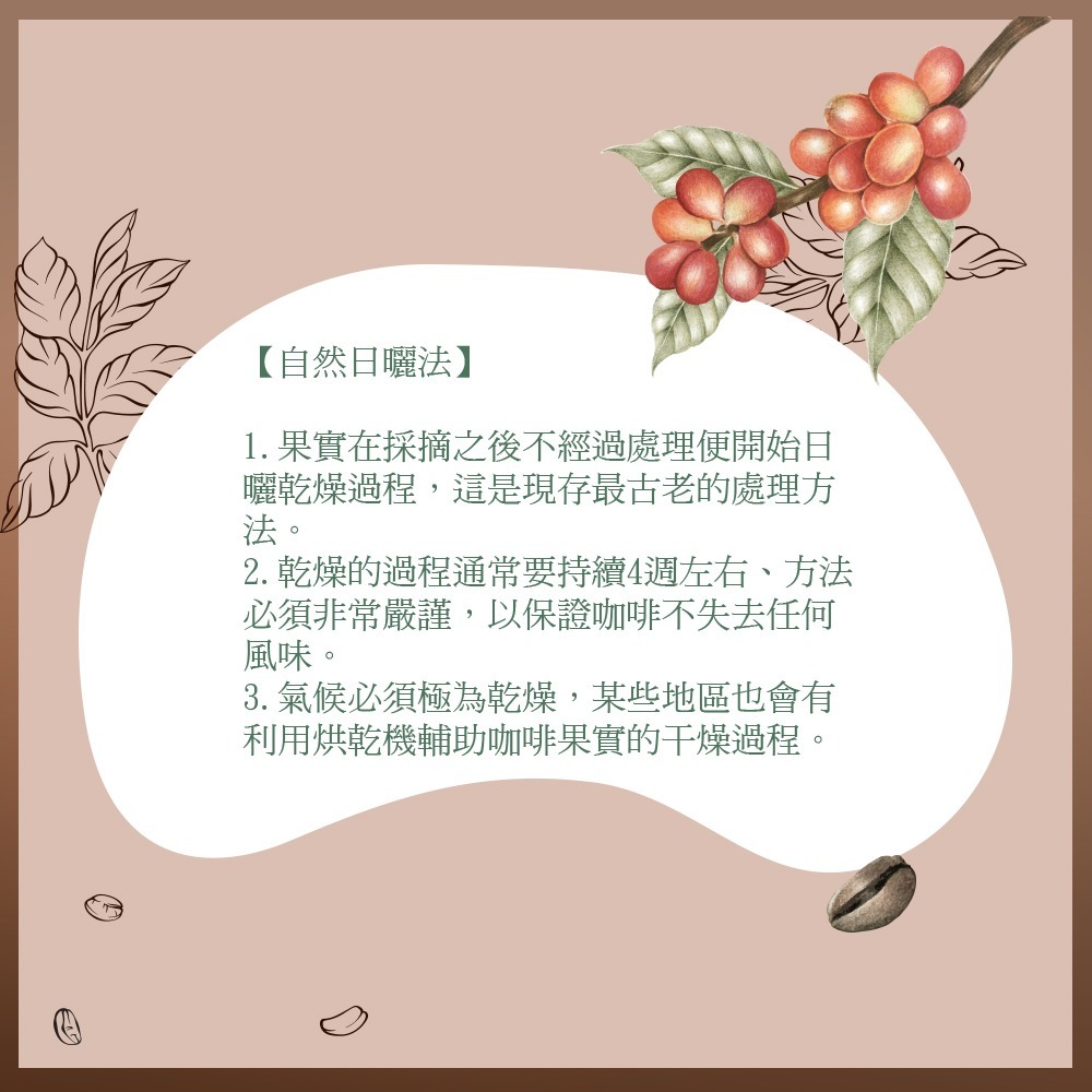 《黑開水》哥斯大黎加拉斯拉哈斯莊園黑靈魂1磅(450克)(日曬式)-細節圖5