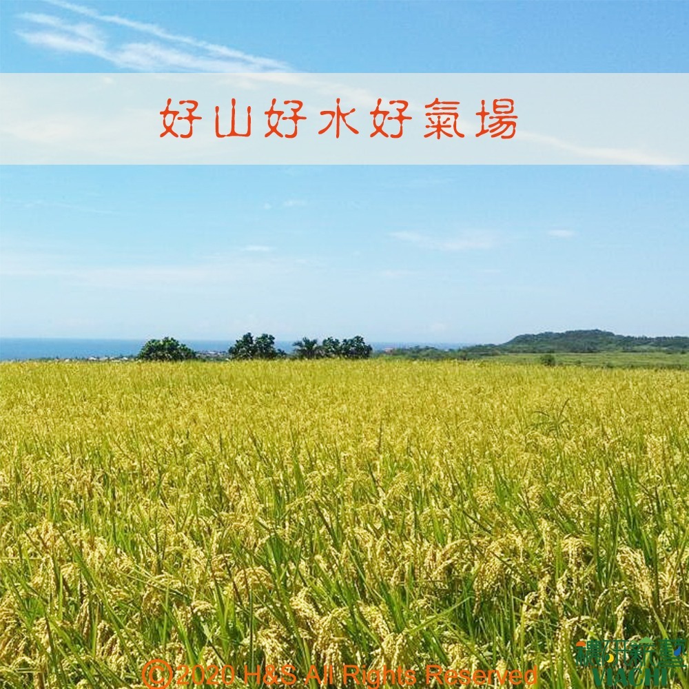 【穠研薪藝】台東長濱天癒五生糙米2包組(1.8公斤/包)-細節圖8