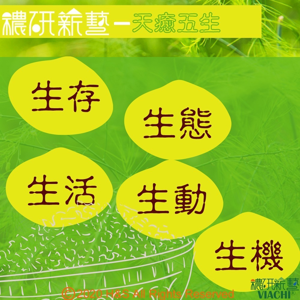 【穠研薪藝】台東長濱天癒五生白米胚芽米任選2包組(1.8公斤/包)-細節圖6