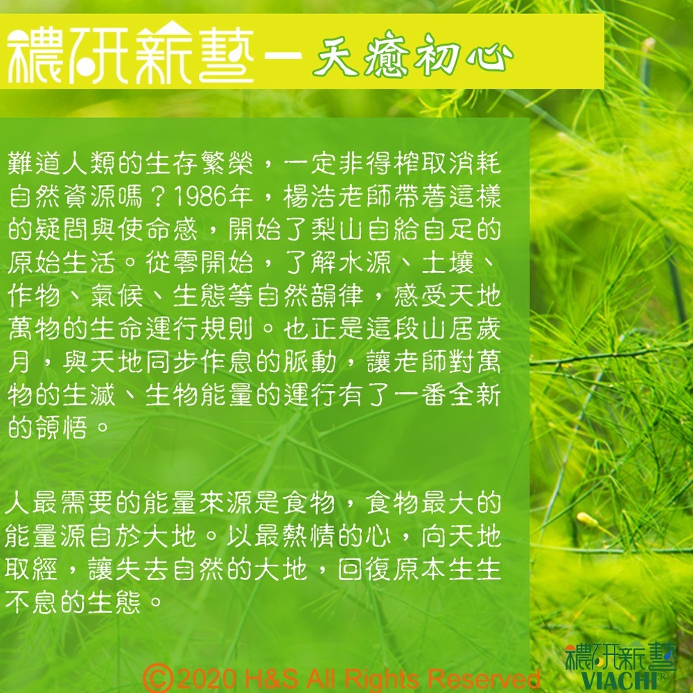 【穠研薪藝】台東長濱天癒五生白米2包組(3公斤/包)-細節圖4