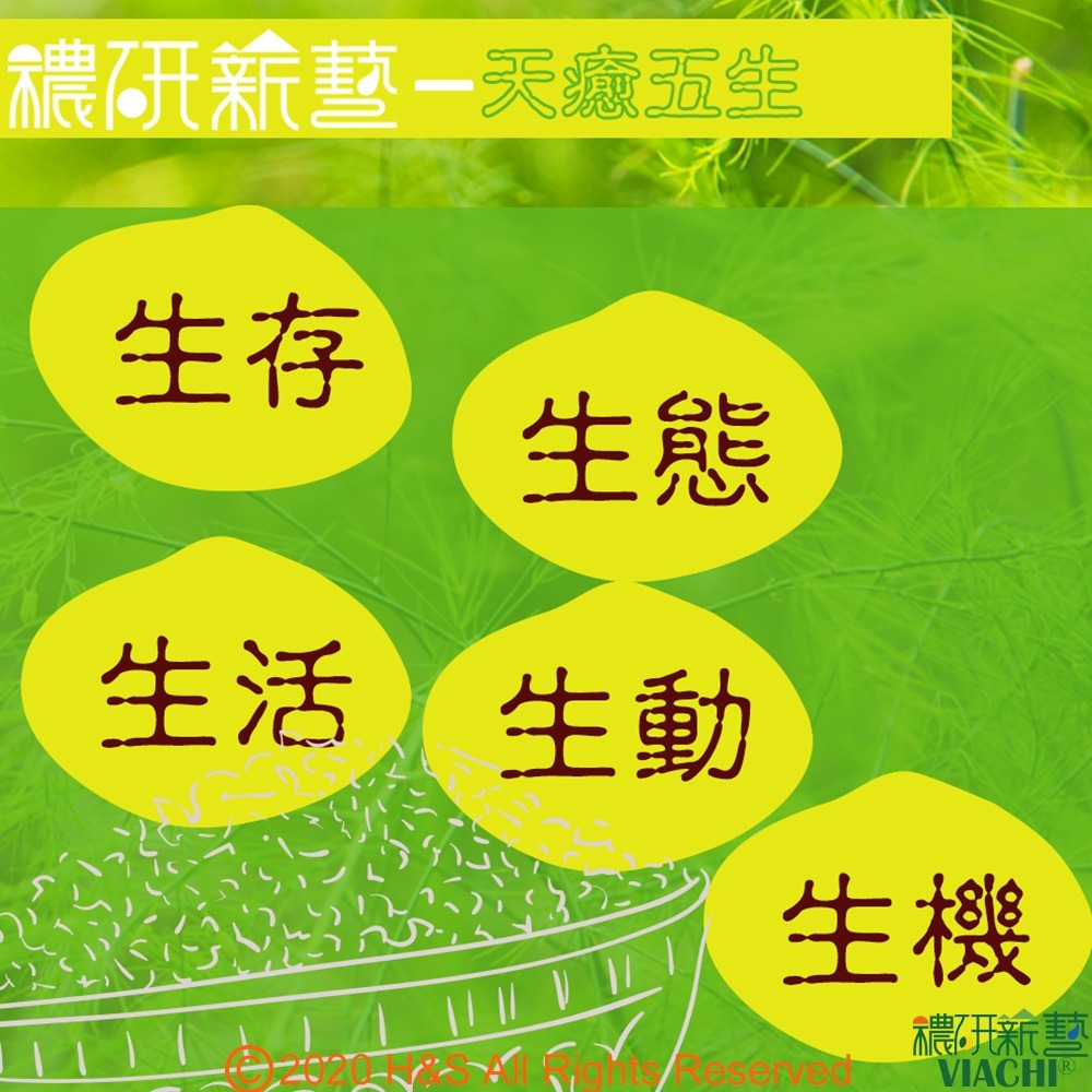 【穠研薪藝】台東長濱天癒五生白米2包組(3公斤/包)-細節圖6