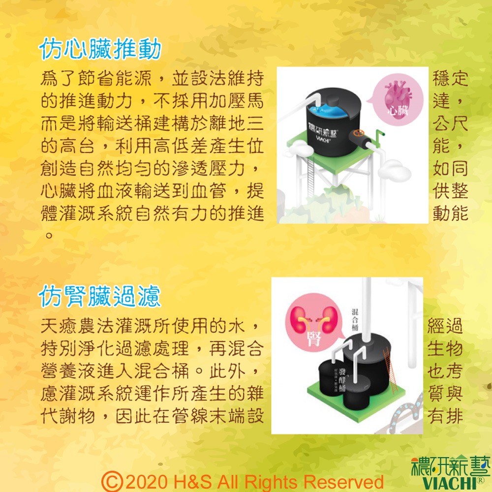 【穠研薪藝】天癒五生．元液(穠研靈芝)(全異麥芽寡糖配方)(750ml/瓶)-細節圖9