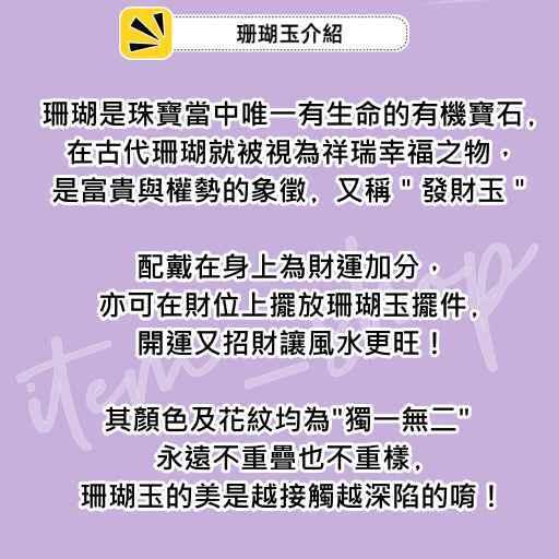 【Olly】珊瑚玉手排【小正方玉化潤透】彈性手排 手鍊 手環 菊花石 珊瑚玉 生日禮物 交換禮物 聖誕節 收藏 JG-細節圖6