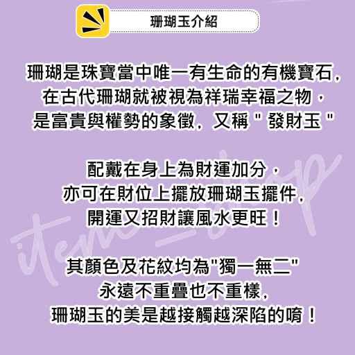 【Olly】珊瑚玉手排【奶酪晶洞】珊瑚玉 彈性手排可改小 手鍊 手環 菊花石 珊瑚玉 禮物 FE000-細節圖4