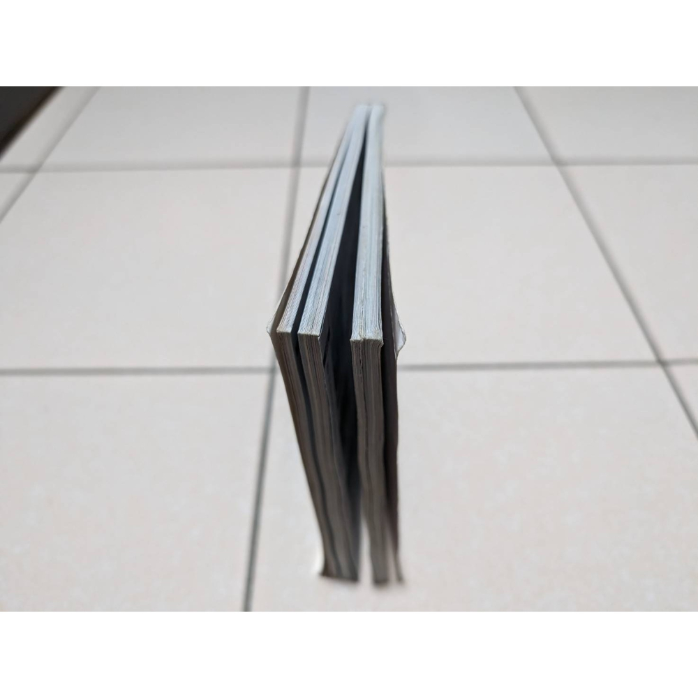 攻略本 惡靈古堡 聖女密碼完全版 終極攻略本 Bioharzard-CODE：Veronica--細節圖5