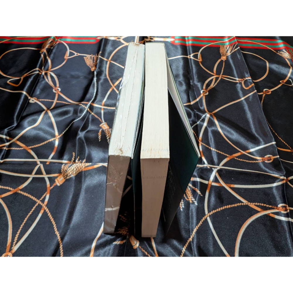 【換新版第3集電腦山莊殺人事件】輕小說 金田一少年之事件簿 第8集殺戮的深藍(下)、第9集邪宗館殺人事件(有書腰)-細節圖6