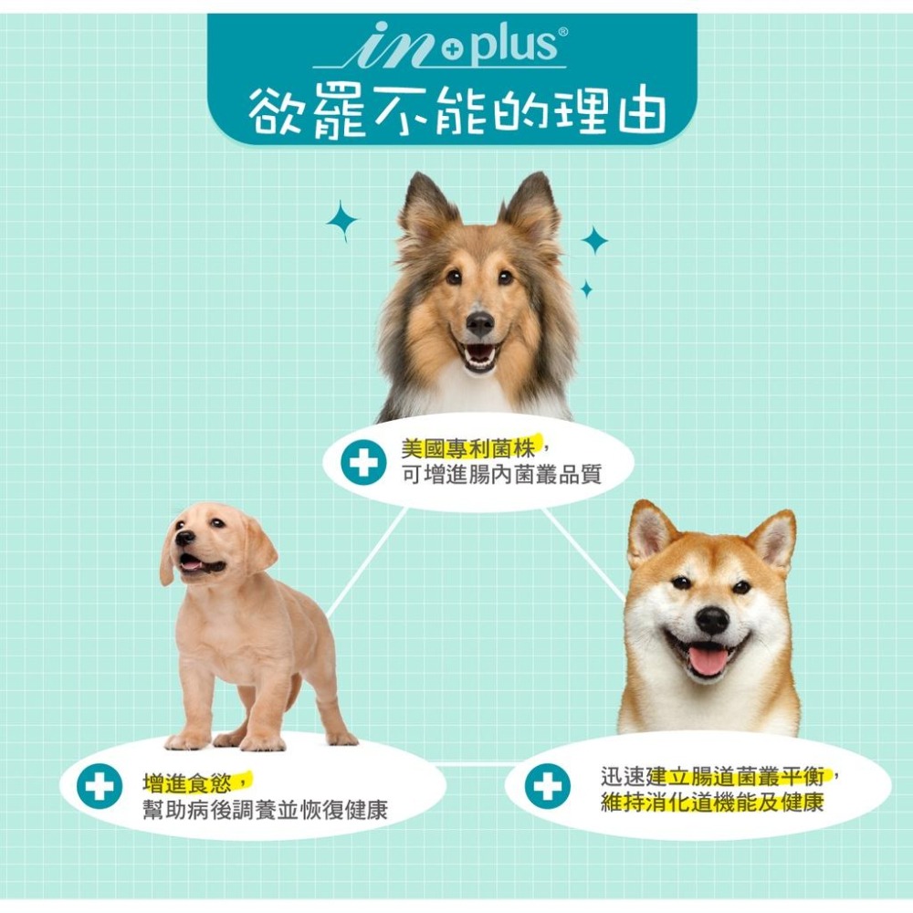 ##毛小孩星球##  犬用益生菌 INPLUS 狗用益生菌-細節圖3