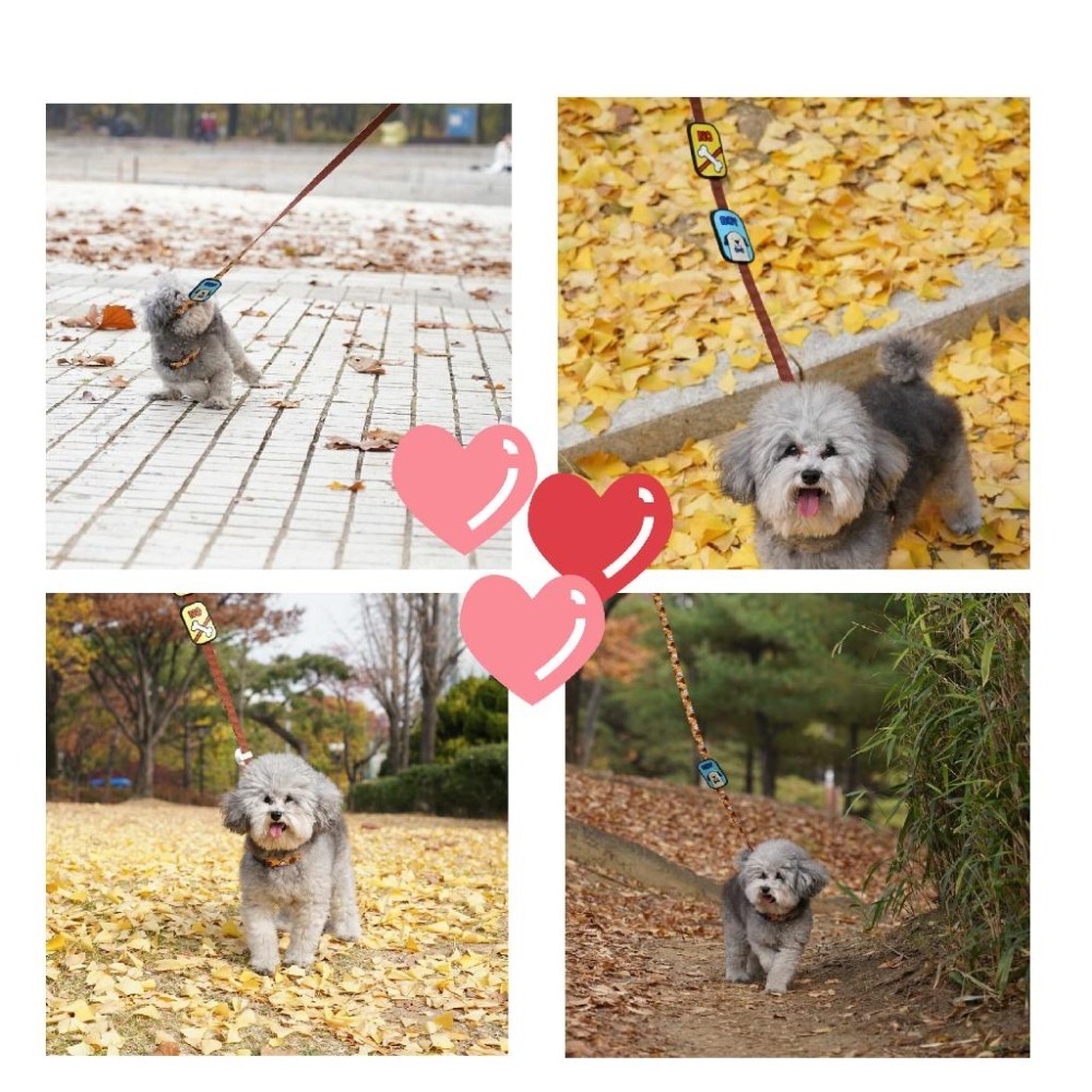 【毛小孩星球】~~寵物外出散步徽章~~ 雙面刺繡寵物社交名牌 外出用品 寵物散步工具-細節圖6