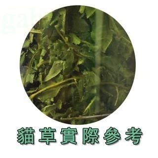 【鮮品屋】貓咪貓草 貓薄荷貓草 忘憂草6g-細節圖2