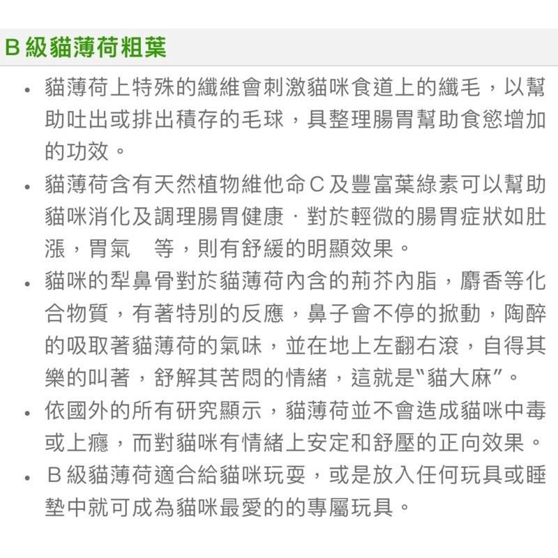 貓咪旺農場 大桶裝70g 貓薄荷 貓草 貓大麻-細節圖3