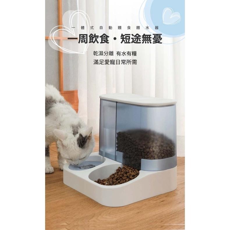 【毛小孩星球】『一體式自動餵食器』自動餵水器 狗狗飲食器 餵食器 餵水器 狗貓餵食器 狗碗貓碗 寵物碗 毛小孩 寵物碗盤-細節圖2