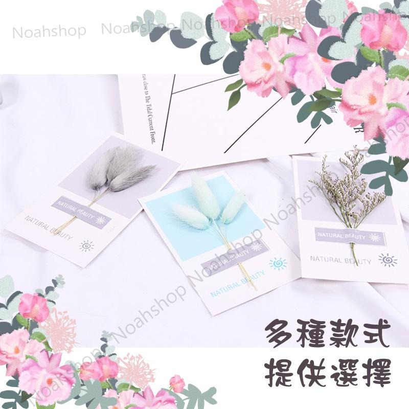 ins 天然植物乾花卡片 麥子 花藝設計 婚禮佈置 飾品 拍攝道具 擺件 復古 背景拍照道具 天然植物卡片-細節圖3
