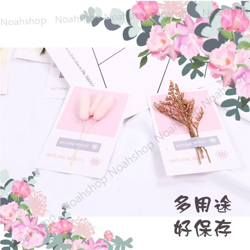ins 天然植物乾花卡片 麥子 花藝設計 婚禮佈置 飾品 拍攝道具 擺件 復古 背景拍照道具 天然植物卡片-細節圖6