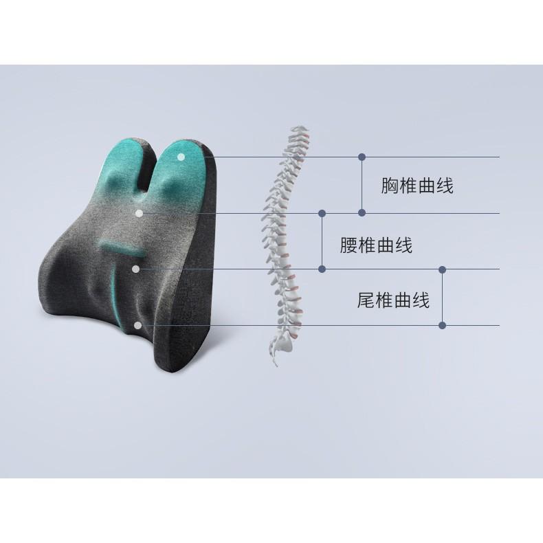 2020新款 記憶棉 腰靠墊 辦公室 主管 內勤人員 汽車 靠背枕腰部靠枕 休息 腰椎 廠家批發-細節圖5