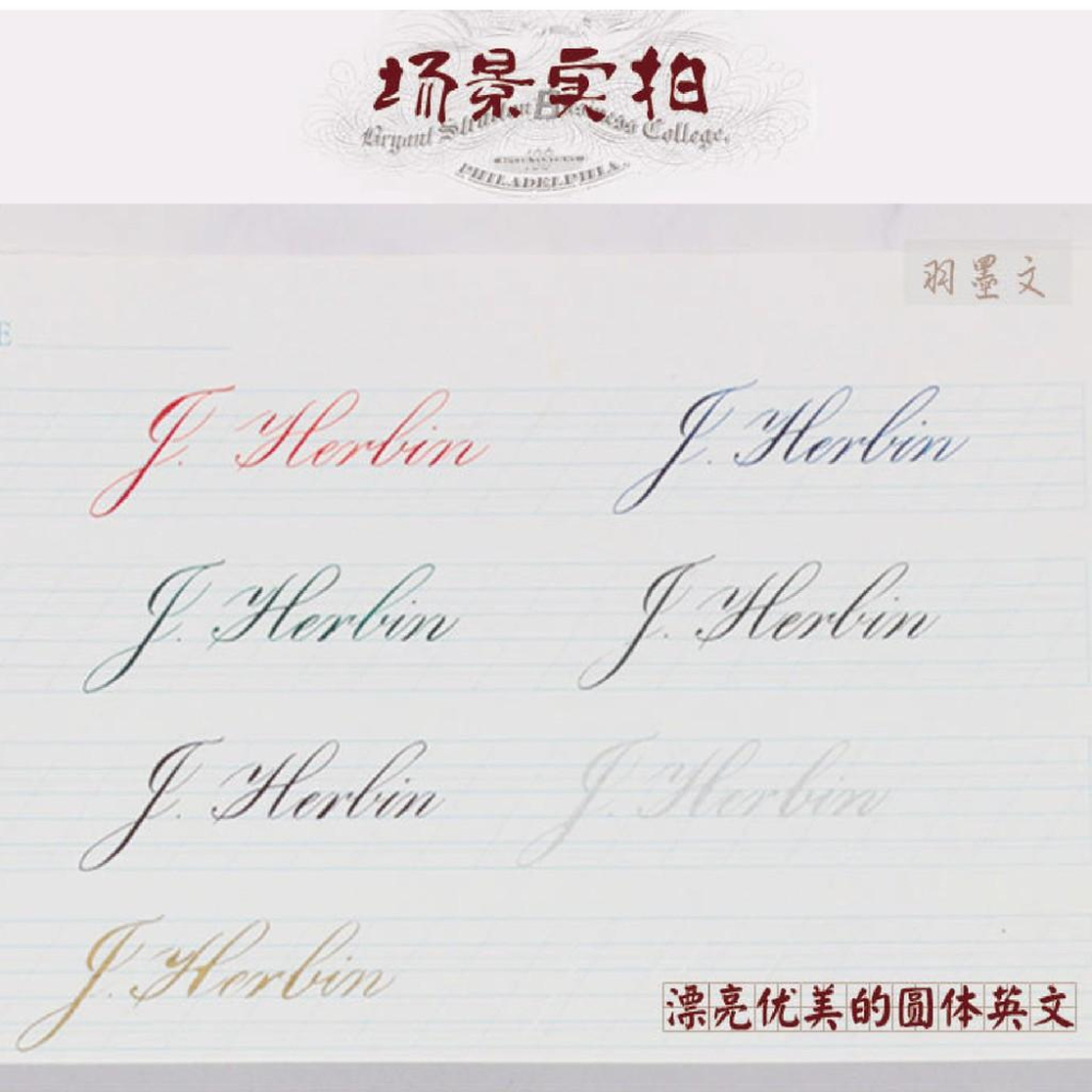 沾水筆 蘸水筆 直桿哥德體 銅板體 平尖 花體圓體 點尖 英文書法 練習簽名鋼筆 贈5ml墨水 隨機色-細節圖2