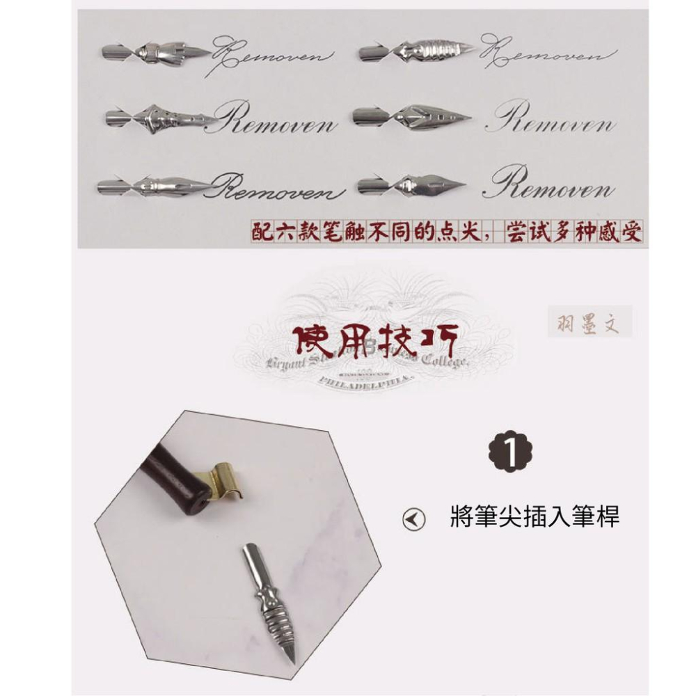 沾水筆 蘸水筆 直桿哥德體 銅板體 平尖 花體圓體 點尖 英文書法 練習簽名鋼筆 贈5ml墨水 隨機色-細節圖7