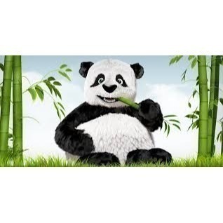 黑熊貓-EX3，我跟你說-細節圖4