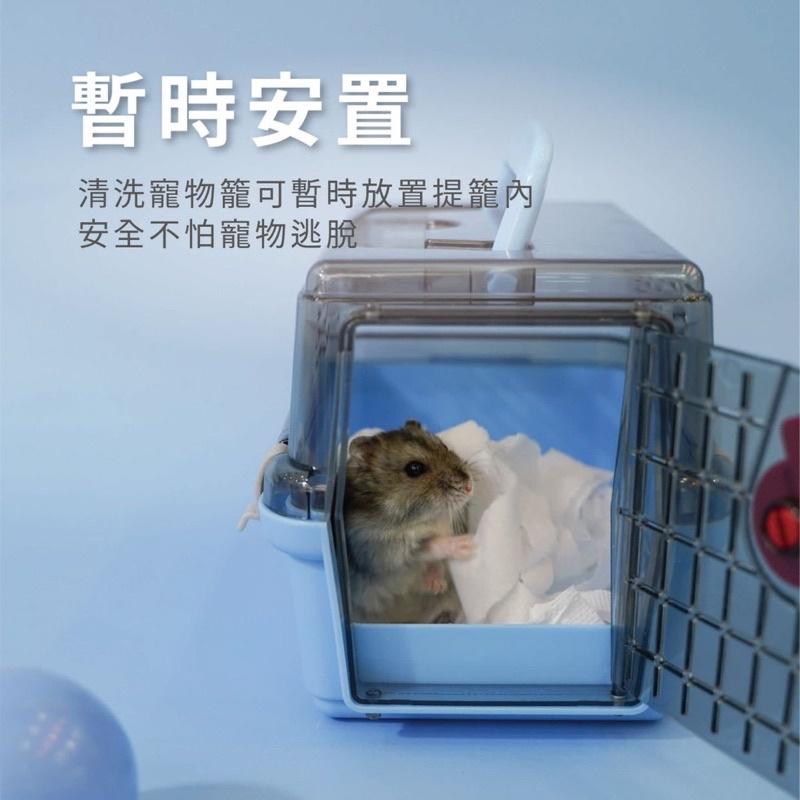 (台灣現貨）新上架Acepet 寵物外出籠 TRAVEL BOX 倉鼠外出籠 刺蝟外出籠 鼠籠 仿貓籠-細節圖6