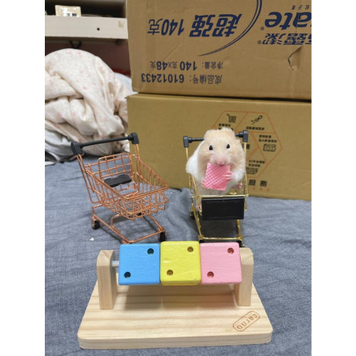 （現貨） carno 趣味魔方骰子 倉鼠互動玩具 木製玩具 磨牙用品 木頭玩具