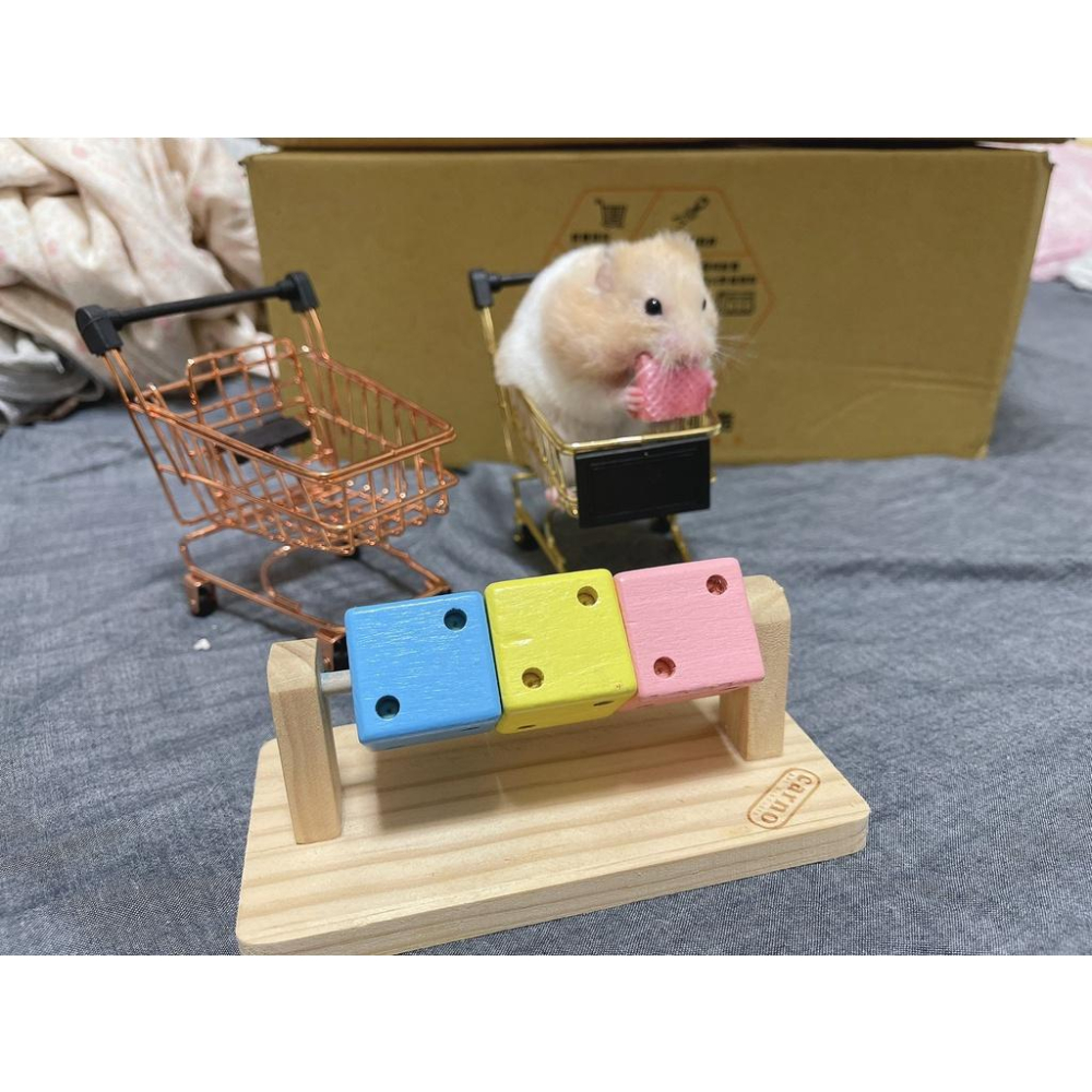 （現貨） carno 趣味魔方骰子   倉鼠互動玩具 木製玩具 磨牙用品 木頭玩具-細節圖4