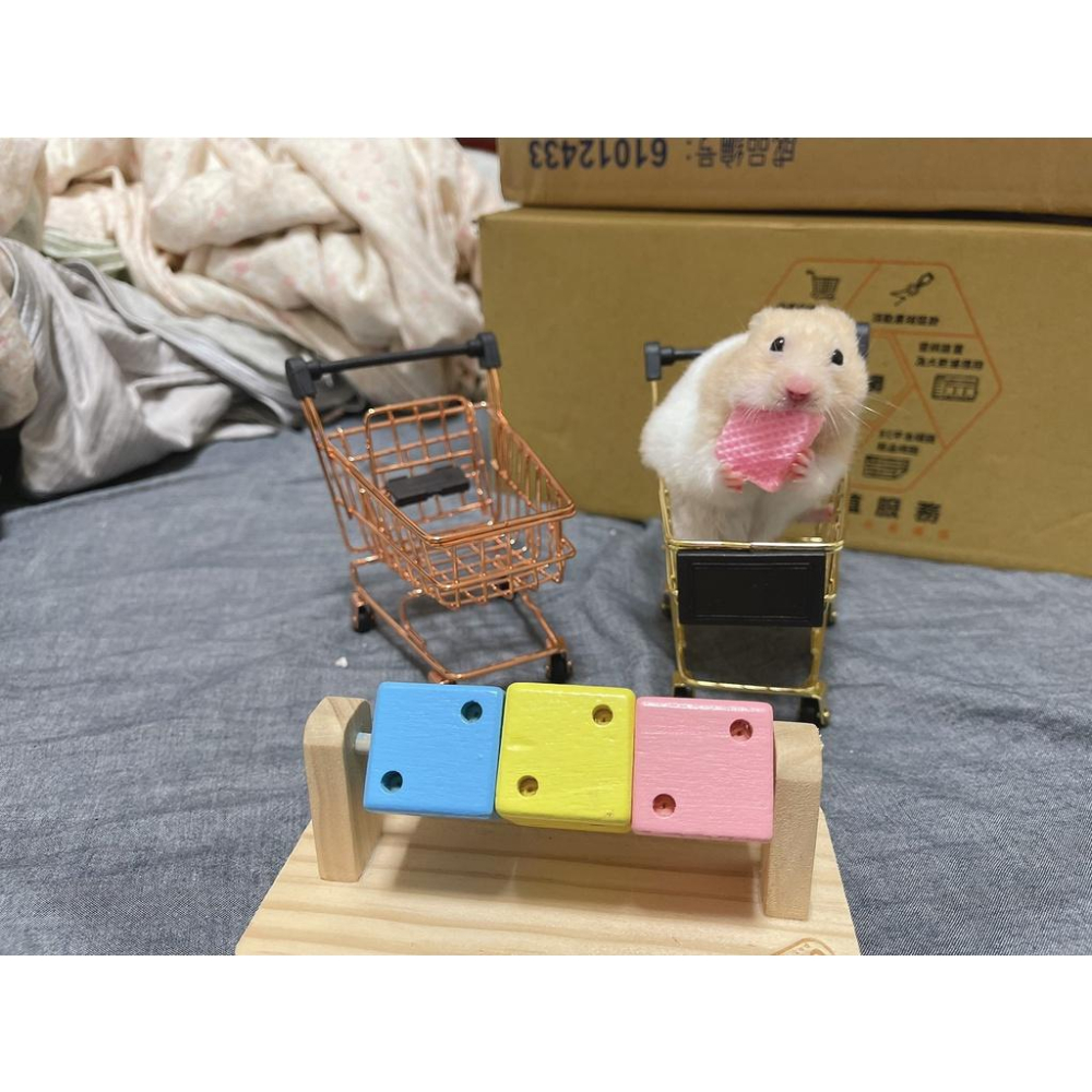（現貨） carno 趣味魔方骰子   倉鼠互動玩具 木製玩具 磨牙用品 木頭玩具-細節圖5