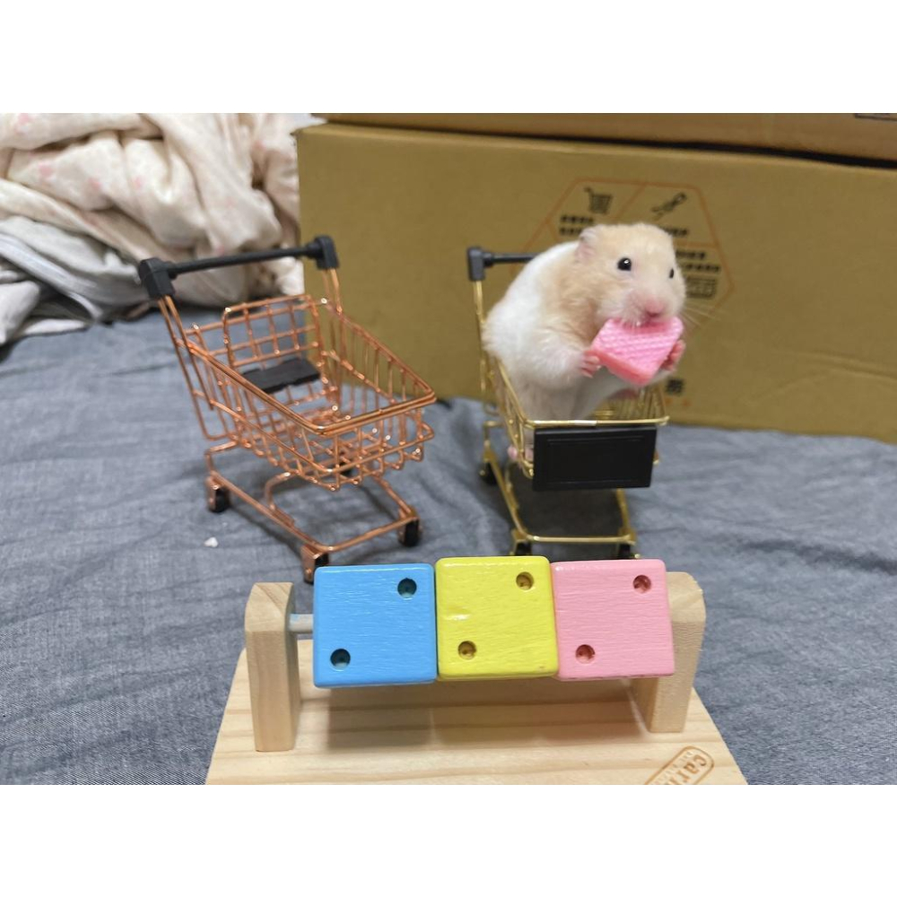 （現貨） carno 趣味魔方骰子   倉鼠互動玩具 木製玩具 磨牙用品 木頭玩具-細節圖7
