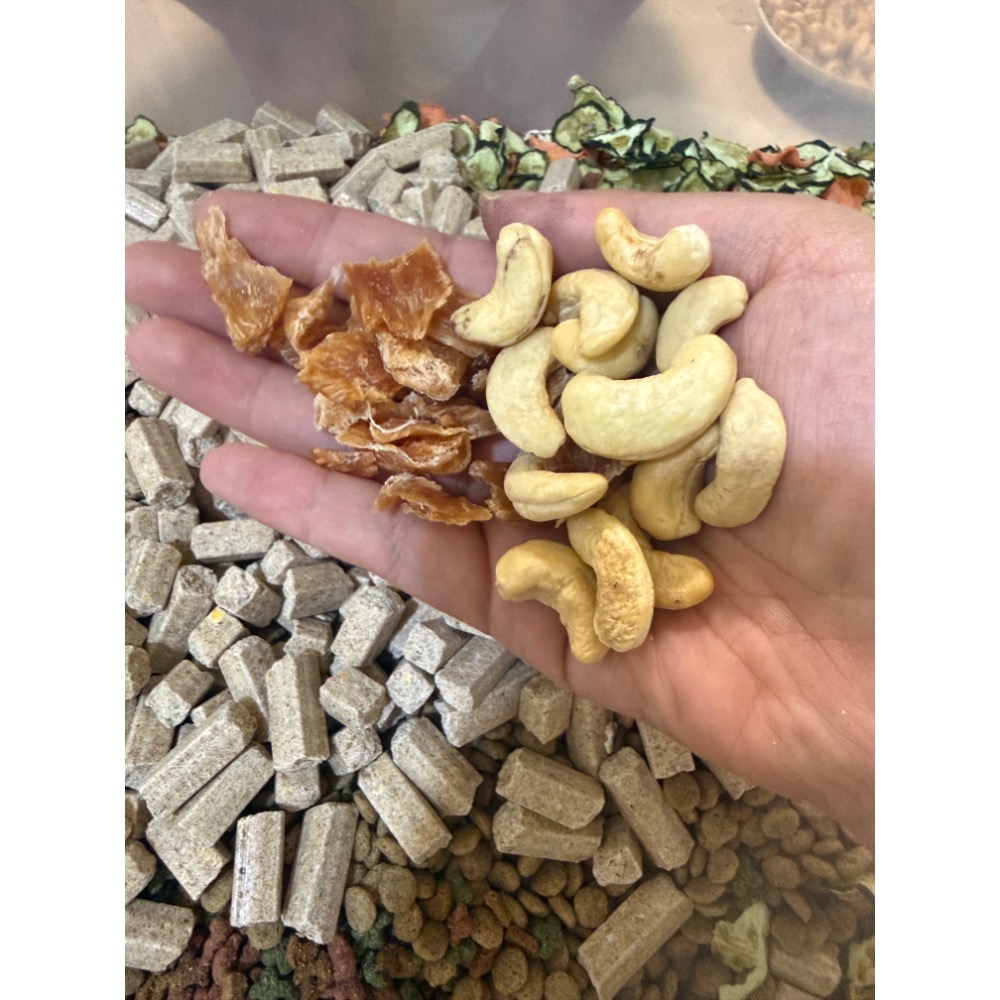 （大包制）Fun家特調飼料/倉鼠主食/鼠飼料/ 倉鼠穀物-細節圖2